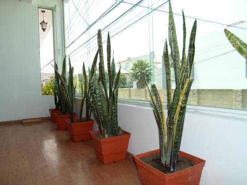 Hotel María Bonita in Tlaxcala de Xicohténcatl, Mexico