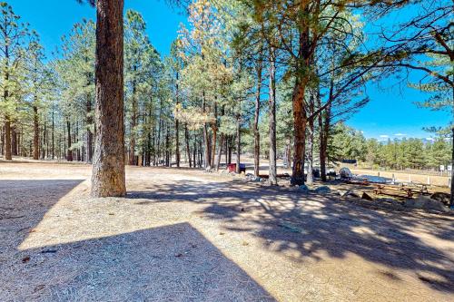 Pine Tree #113 in Angel Fire, USA