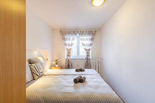 Urban Retreat Near Old Town, Bratislava (fotografie 9)