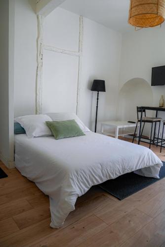 Le Bazacle - Sublime Logement en Hypercentre, Тулуза (фото 5)
