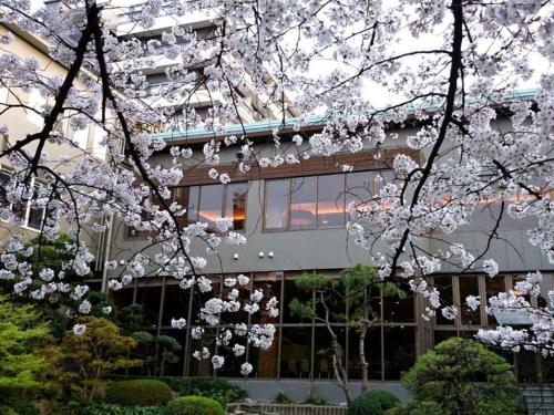 Suikoyen Hotel - Vacation STAY 46452v