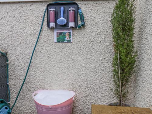 Castle View - main image