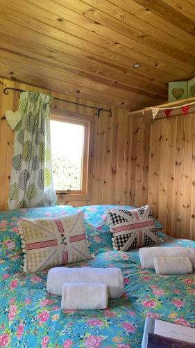 Willowdene shepherds hut