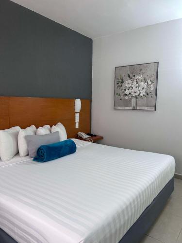 Best Western Minatitlan