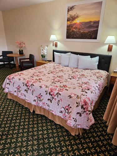 Travel Inn Motel - image 3