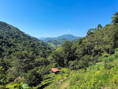 Cinduli Finca Orgánica Cacaotera