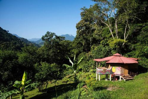 Cinduli Finca Orgánica Cacaotera