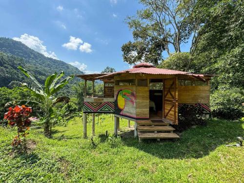 Cinduli Finca Orgánica Cacaotera