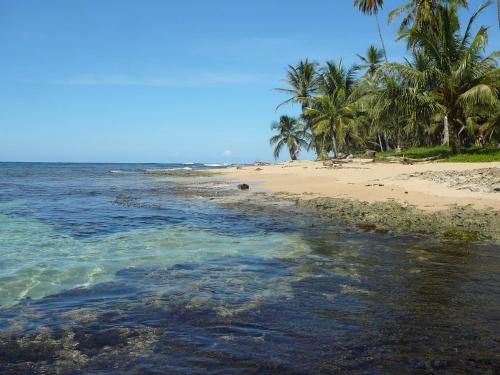 Beach, Casa Lina EcoLodge privat apartment in Puerto Viejo de Talamanca