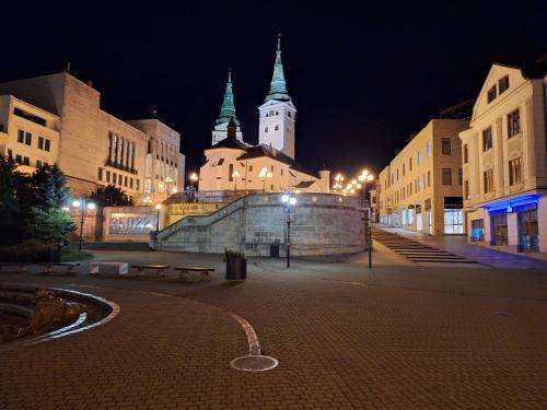 Vila Pohoda Javorníky s rozľahlým pozemkom