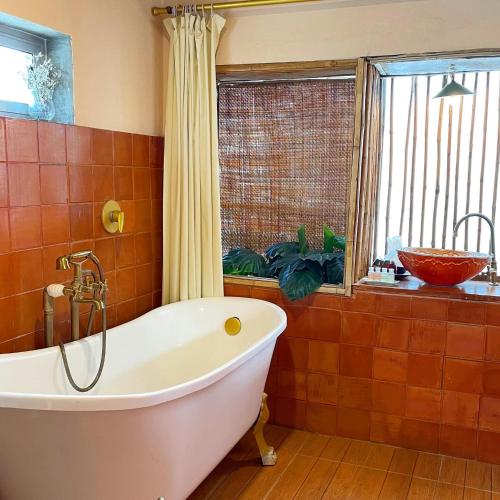 セブン シーズ ゲスト ハウス