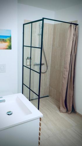 دش, Plesners Badehotel-Lejligheder in سكاجين