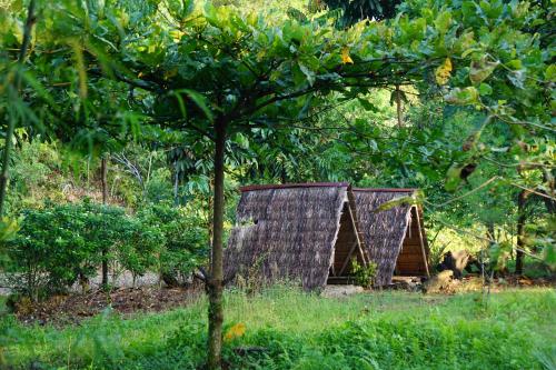 Eco Conservation Landak Luxury Tents