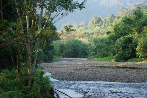 Eco Conservation Landak Luxury Tents