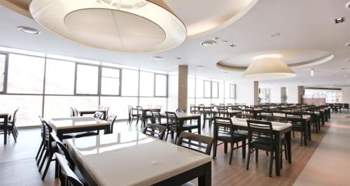 High Castle Resort Jeongsun in Sabuk-eup