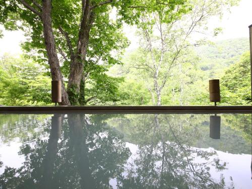 志賀高原 白い温泉 渓谷の湯, Yamanouchi