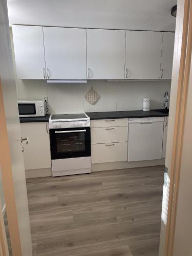 Central Apartment in Leknes