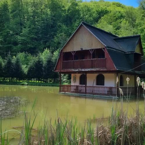 Unique House on the Lake