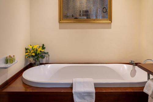 550148053 Ca's Xorc Luxury Retreat - ADULTS ONLY