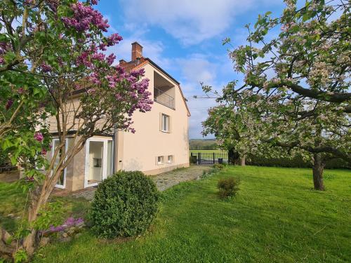 . Cottage next Svihov castle
