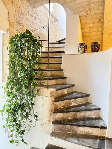 neropece, Ragusa (Foto 6)