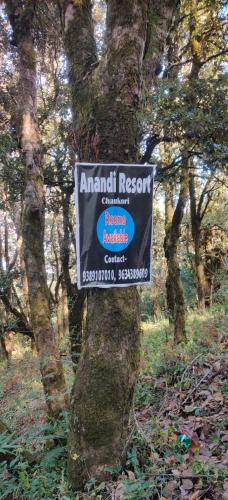 액티비티, Anandi resort in 차우코리
