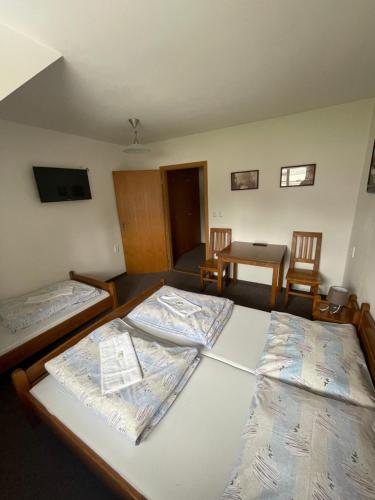 Penzion U Šlechtů (Penzion U Slechtu) in Svratka