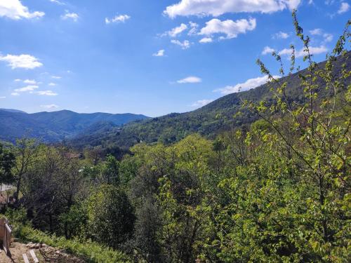 สภาพแวดล้อมโดยรอบ, Le Murmure des Cèdres - Gîte en Cévennes (Le Murmure des Cedres - Gite en Cevennes) in แซ็ง-ต็องเดร-เดอ-มาฌองกูล