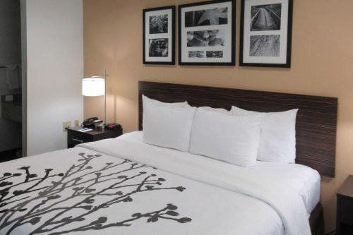 Sleep Inn in Lexington, USA