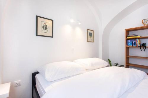 Green Oasis Apartment In The City With A Patio, Lublaň (fotografie 7)