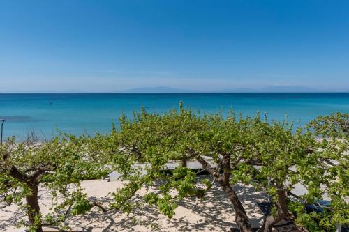 Alkioni By The Sea - Photo 1
