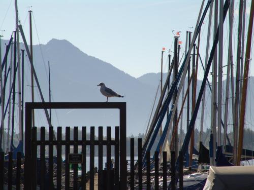 Zum Fischer am See ***S - image 4