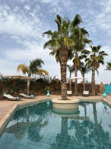 Villa des oliviers, piscine, Marrakech