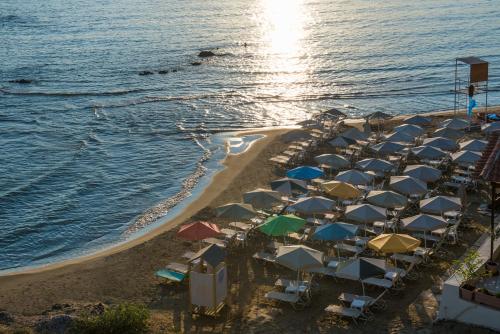 Seafalios - main image