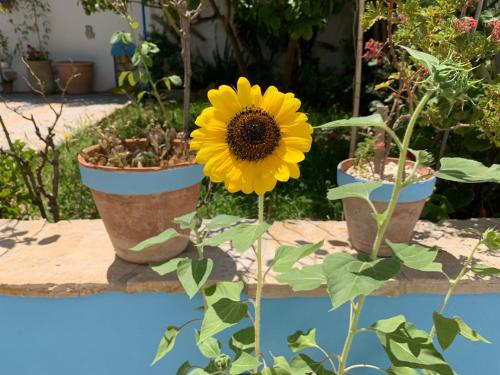 Bed & Breakfast Sole Azzurro – Custonaci, CA