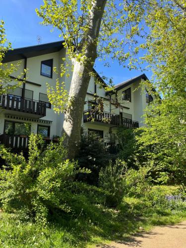 外部景觀, Zentrale Ferienwohnung am Buhlschen Park in Deidesheim in 戴德斯海姆