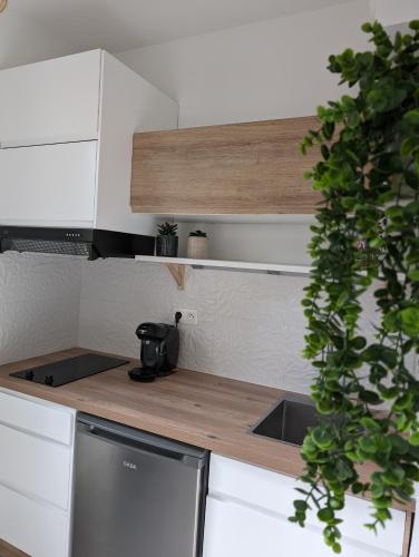 Facilities, Appartement cosy au calme a cote du zoo avec balcon et parking securise in Saint-Eloi