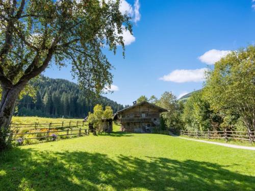 SkiJuwel Appartments Auffach - Wildschönau - Tirol