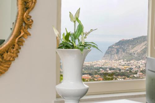 皇家山酒店 皇家山酒店