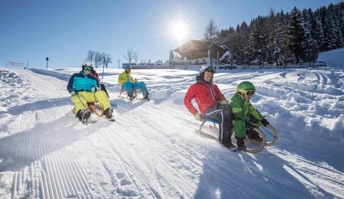 SkiJuwel Appartments Auffach - Wildschönau - Tirol