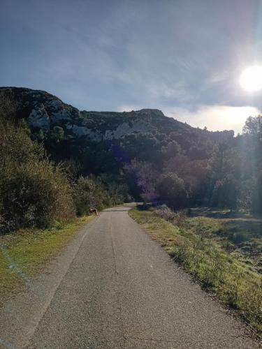 T3 campagne Aix-en-Provence