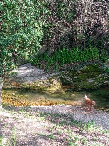 T3 campagne Aix-en-Provence