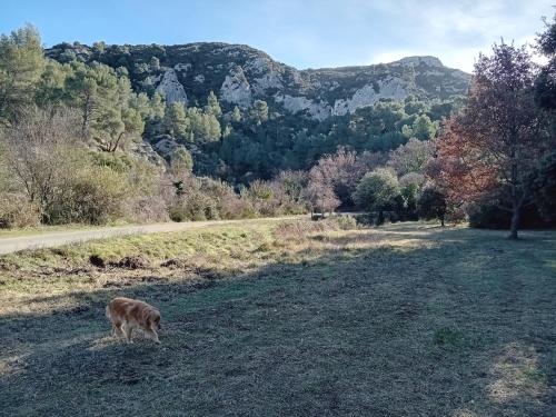 T3 campagne Aix-en-Provence