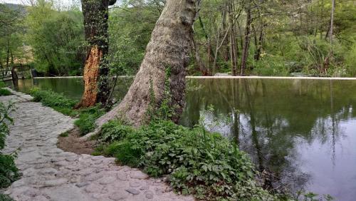 Au Moulin aux Chandelles, "Les amoureux de l'Arre ne connectent rien et profitent"