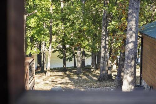 Lake Front Cabin on Indian Point
