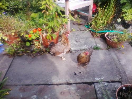 The Spindle B&B - image 13