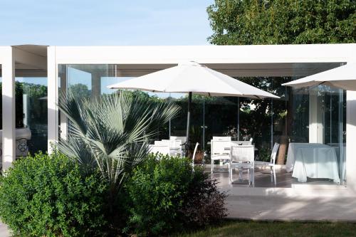 Il Leone Di Mare - image 2