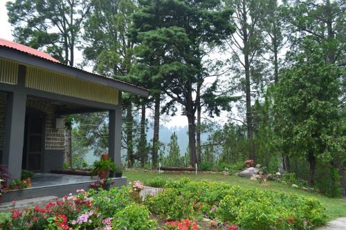 Batrasi Dak Bungalow - image 5