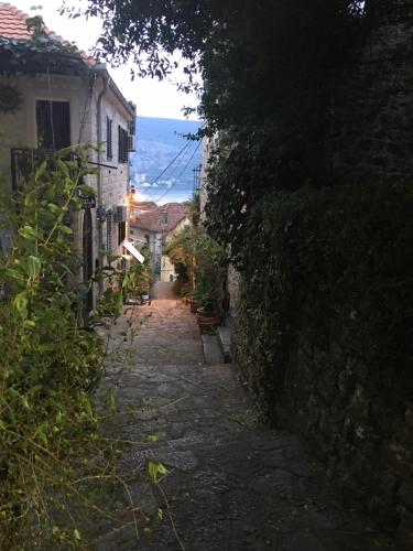 Apartment Simo, Herceg Novi (Foto 6)