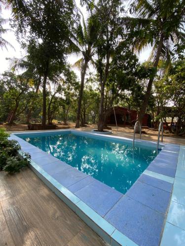 Alibag Luxury Farmhouse 3 Bedrooms Villa with Swimming Pool